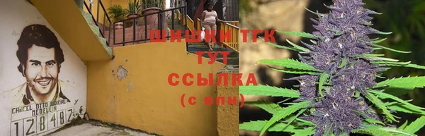 mix Лабытнанги